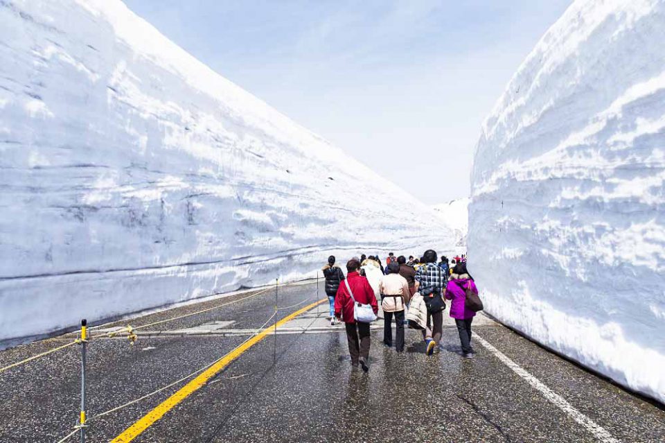 Japan’s Alpine Route: A Must See for Snow lovers